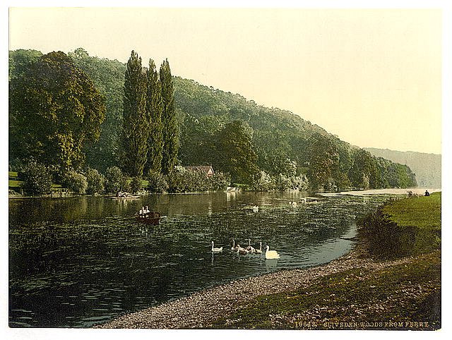 Cliveden Woods  London & suburbs Vintage A4 Photo Print