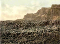 Co Antrim Bushmills Giants Causeway Vintage A4 Photo Print