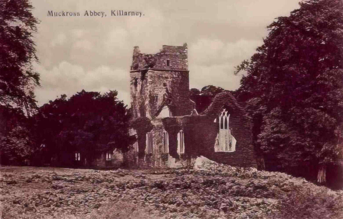 Co Kerry Killarney Muckross Abbey Vintage A4 Photo Print