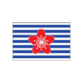 Coastalsafety Force Flag N2587 A4 Photo Print