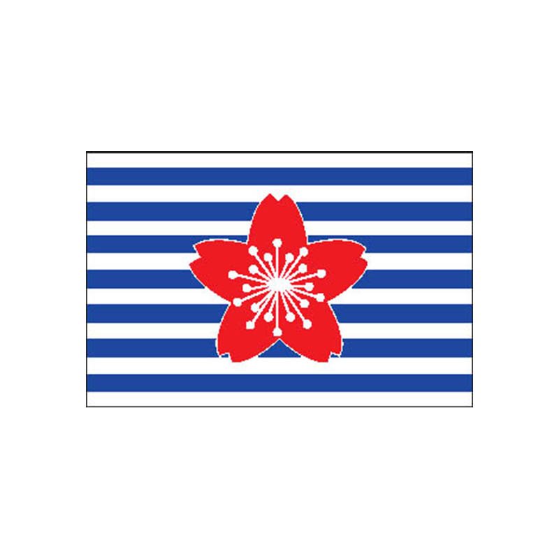 Coastalsafety Force Flag N2587 A4 Photo Print