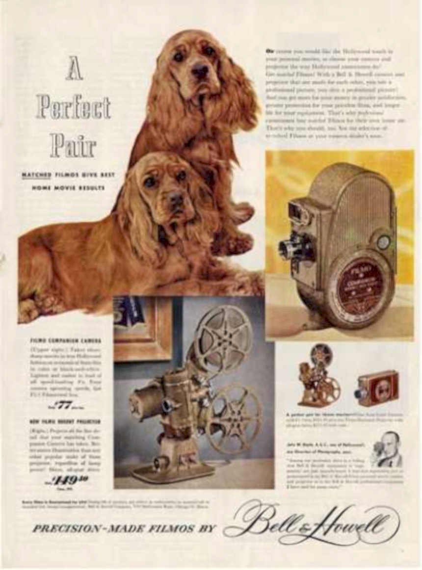 Cocker Spaniel Bellhowell Vintage Retro Advert Ads A4 Photo Print