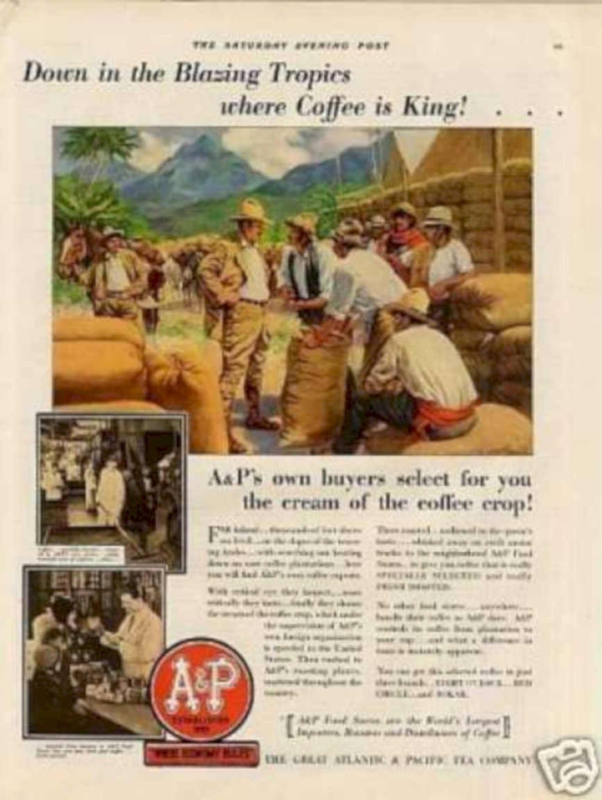 Coffee Crop Tropics Vintage Retro Advert Ads A4 Photo Print