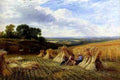 Cole George Harvest Field A4 Photo Print