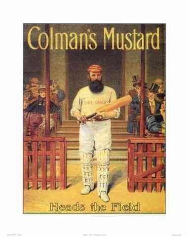 Colemans Mustard 164 Vintage Advert A4 Photo Print