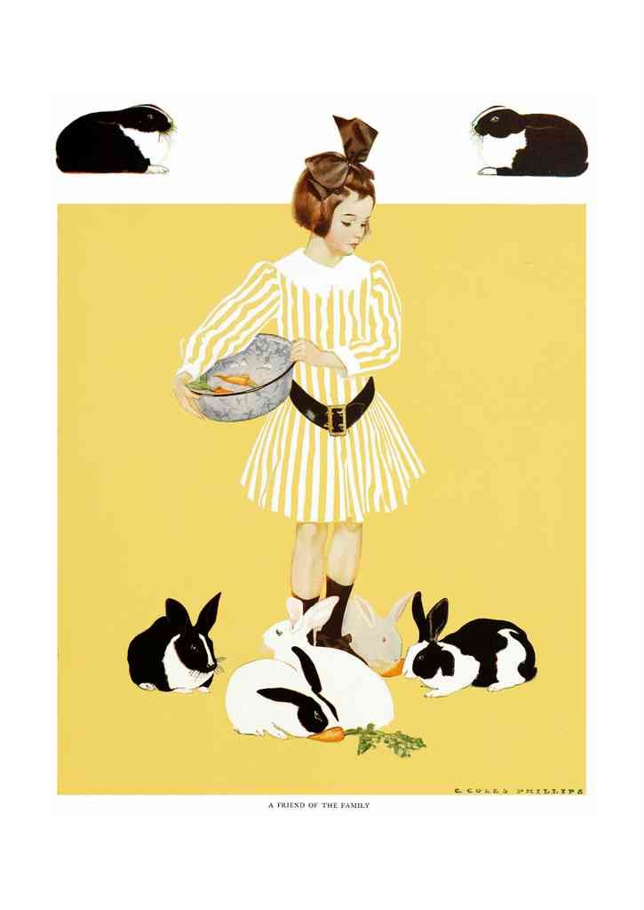 Coles Phillips 056 Art Nouveau Vintage Illustration A4 Photo Print