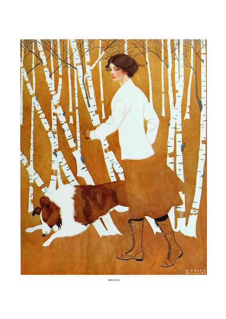 Coles Phillips 071 Art Nouveau Vintage Illustration A4 Photo Print