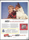 Collie Beach Ansco Vintage Retro Advert Ads A4 Photo Print