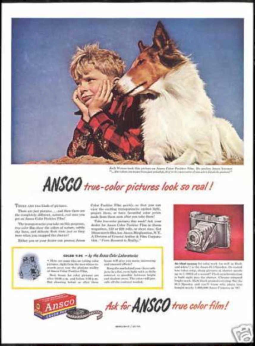 Collie Beach Ansco Vintage Retro Advert Ads A4 Photo Print