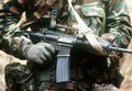 Colt Car15 Commando Xm177 Carbine Military A4 Photo Print