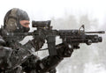 Colt Diemaco C8 Carbine Military A4 Photo Print