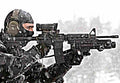Colt Diemaco C8 Carbine (2) Military A4 Photo Print
