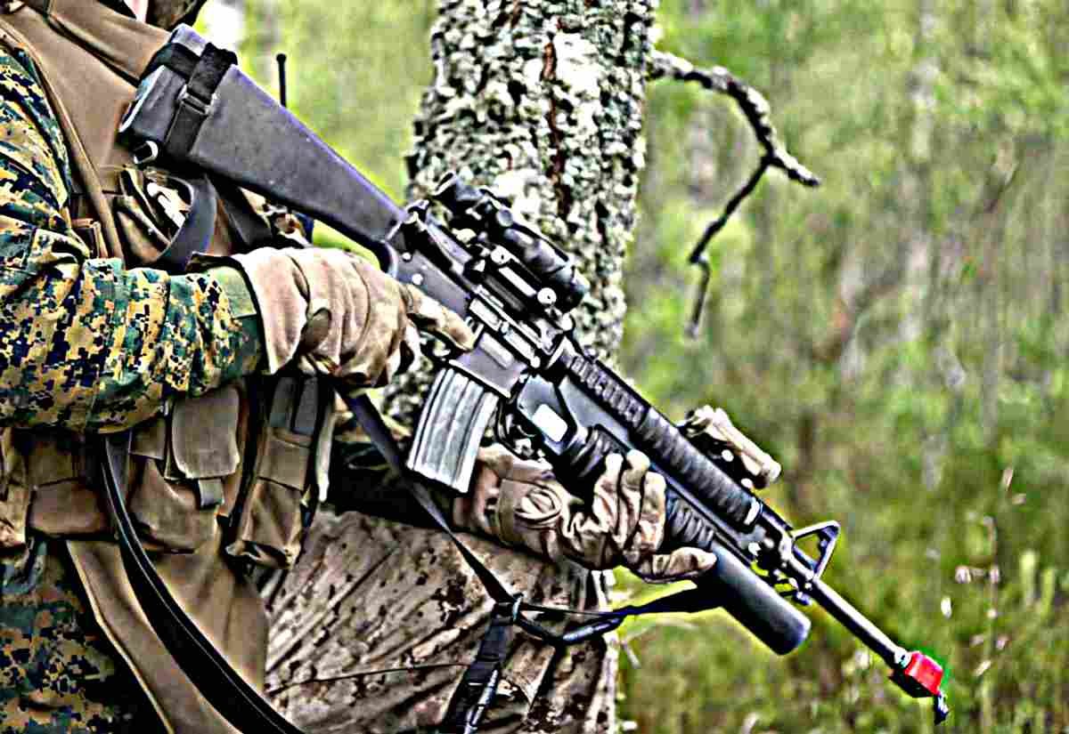 Colt M16Assault Rifle United States 3 (2) Military A4 Photo Print