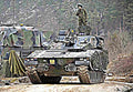 Combat Vehicle 90 Cv90 Stridsfordon Ifv 5 (2) Military A4 Photo Print