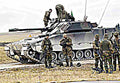 Combat Vehicle 90 Cv90 Stridsfordon Ifv 6 (2) Military A4 Photo Print