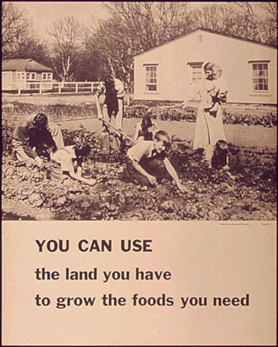 Community Gardening Children Vintage Retro Advert Poster A4 Photo Print