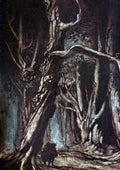 Comus 1921 11 cropped A4 Photo Print