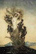 Comus 1921 17 A4 Photo Print
