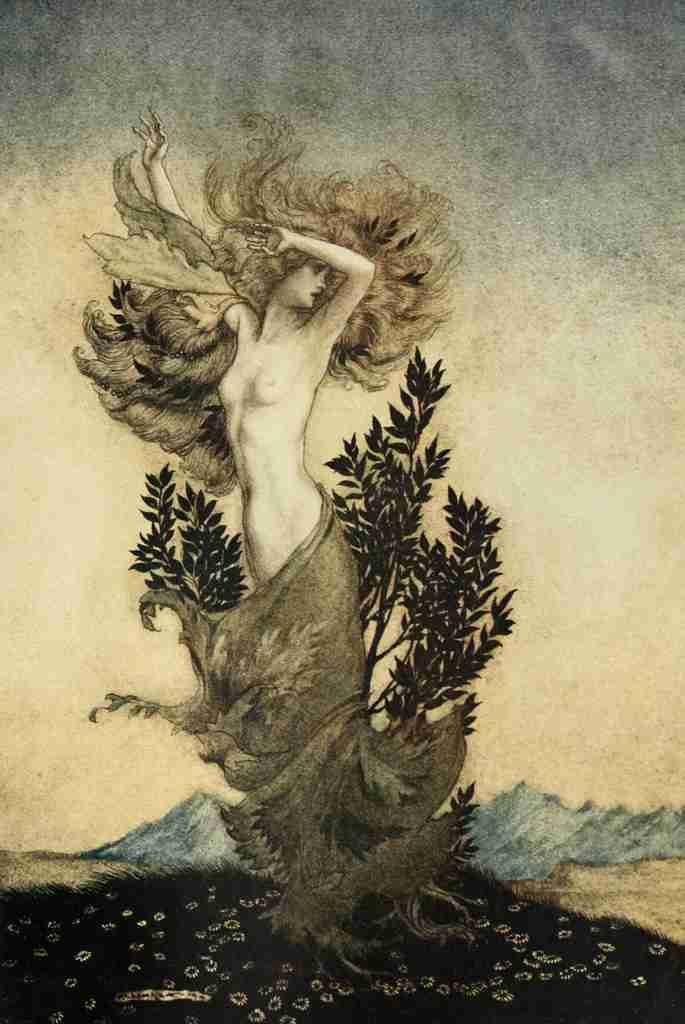 Comus 1921 17 A4 Photo Print