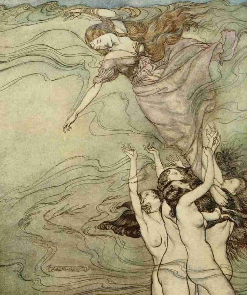 Comus 1921 19 A4 Photo Print