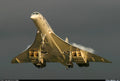 Concorde 194 A4 Photo Print