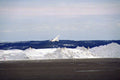 Concorde 248 A4 Photo Print