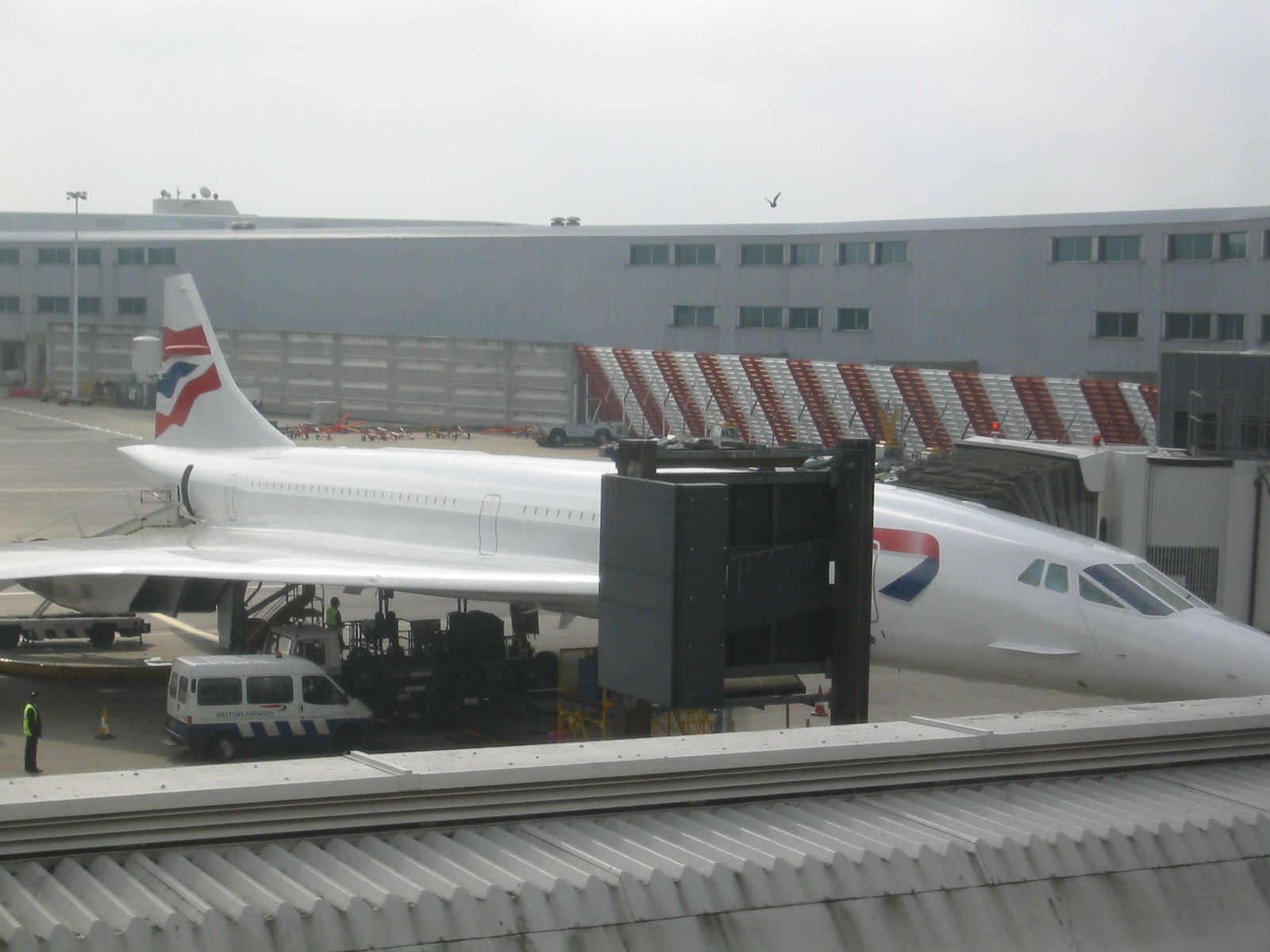 Concorde 257 A4 Photo Print