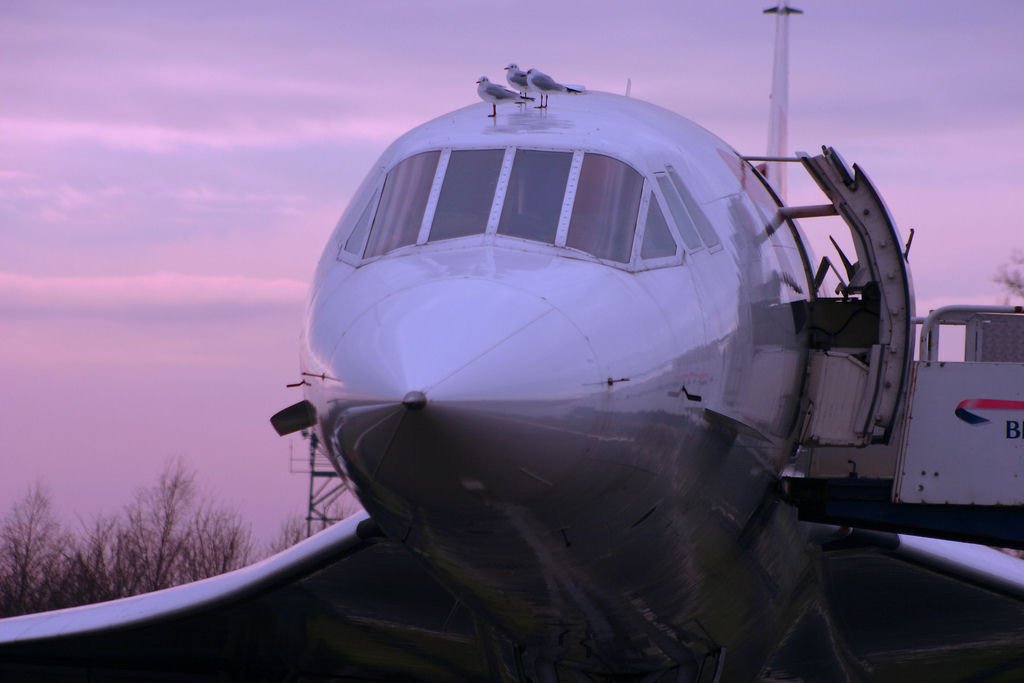 Concorde 305 A4 Photo Print