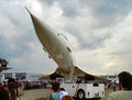 Concorde 532 A4 Photo Print