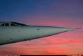 Concorde 547 A4 Photo Print