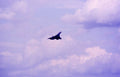 Concorde 645 A4 Photo Print