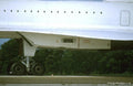 Concorde 805 A4 Photo Print