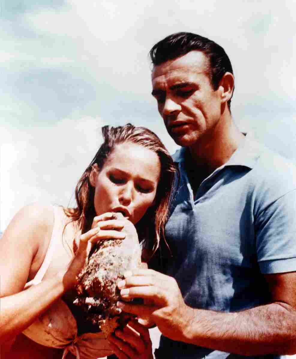 Connery Sean Doctor No z1 film star poster A4 Photo Print