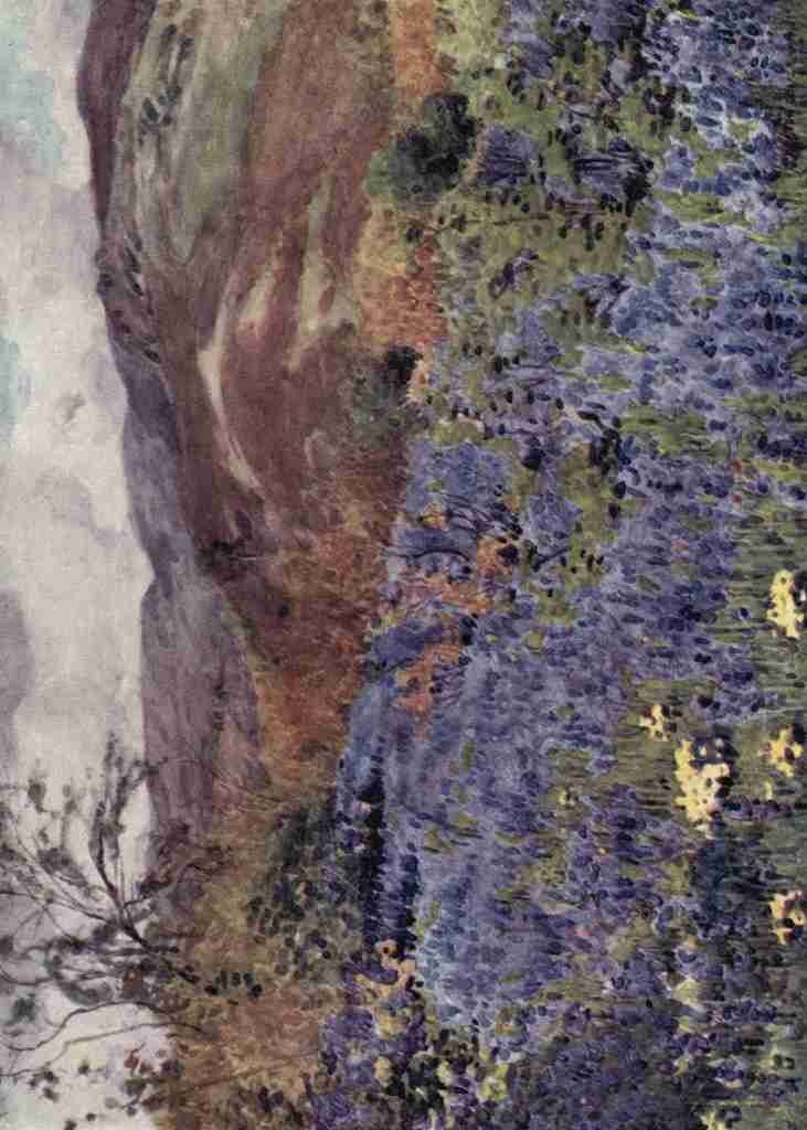 Cooper Alfred Heaton 1863 1929 The English Lakes 1908 Wild Hyacinths A4 Photo Print