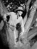 Cooper Gary Along Came Jones z3 film star poster A4 Photo Print