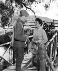 Cooper Gary Sergeant York 09 film star poster A4 Photo Print