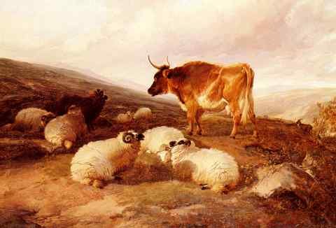 Cooper Thomas Sidney Rams And A Bull In A Highland Landscape A4 Photo Print