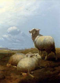 Cooper Thomas Sidney Sheep At Pasture A4 Photo Print