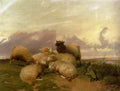 Cooper Thomas Sidney Sheep In Canterbury Water Meadows A4 Photo Print