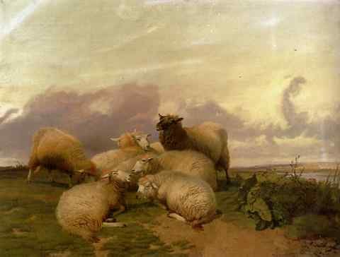 Cooper Thomas Sidney Sheep In Canterbury Water Meadows A4 Photo Print