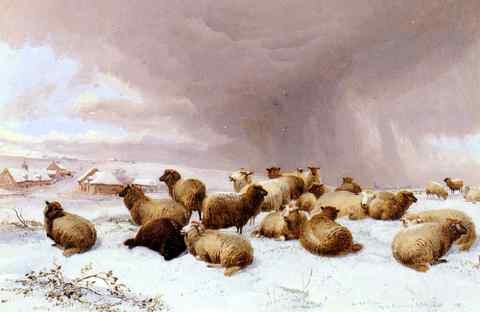 Cooper Thomas Sidney Sheep In Winter A4 Photo Print