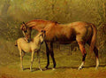 Corbould Alfred c1821 1874 The Book Horse 1880 Thoroughbred mare & foal A4 Photo Print