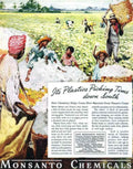 Cotton Pickers Monsanto Vintage Retro Advert Poster A4 Photo Print