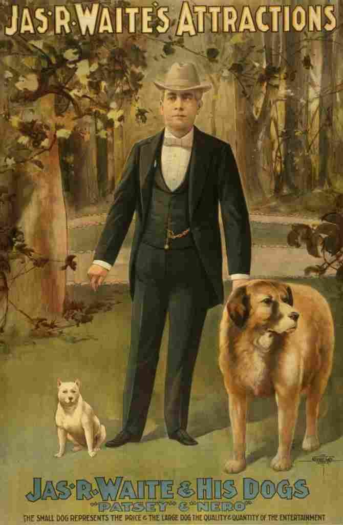 Courier Litho Co Jas R Waites attractions 1899 Big dog little dog A4 Photo Print