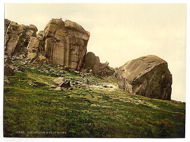 Cow and Calf Rocks Ilkley Vintage A4 Photo Print