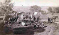Cowboy Chuckwagon Military A4 Photo Print