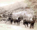 Cowboy Express Company Military A4 Photo Print