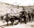 Cowboy Fever Gold Military A4 Photo Print