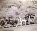 Cowboy Stagecoach Travel Military A4 Photo Print