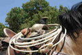 Cowboy horse2 k Military A4 Photo Print